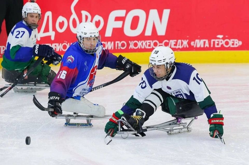 �������� ������� ������ ����� �������� �����-���������� ���������� ������ ����� ������