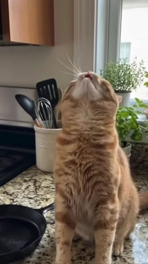 ���, �������!. ����� ������ �� �������� � ������ ������� ���� ������ ���������� ����������� �������� ��������� �� ������� ���� | ������ ��� � MAX