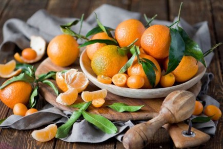 Всё, что нужно знать о вывозе мандаринов из Абхазии: секреты и правила