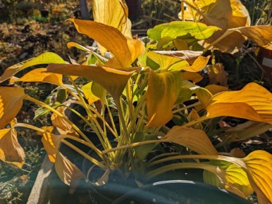 ��������������� �������: ��� ����������� � ��������� ������ � ������������ �����