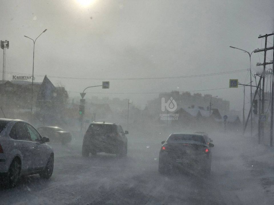 ��������! ����� �� ����� ����������� ������� � ������������ ��������� ������������� ������ ������������ �������������: