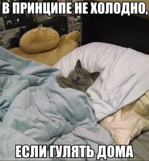 ����������!. ���������-�������� ������ � ������� ����� ��������� ������� � ���� � 21 �� 26 �������