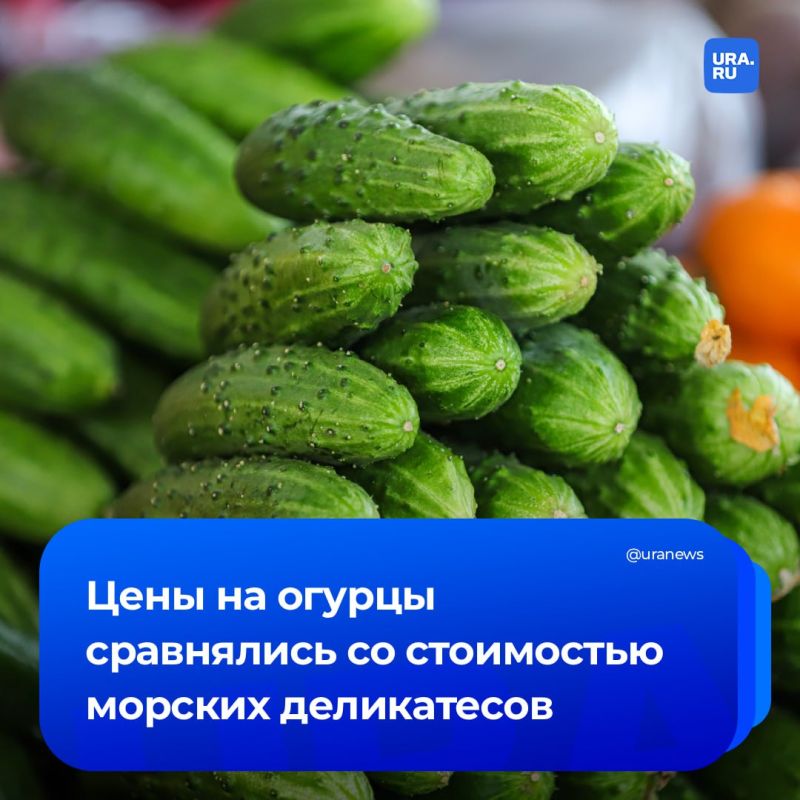 ������� �� ���� ��������: ��������� ���������� ������ ������ � ���� � ��������� ��������� ����� ���������� � ������ �� ������������, ���������� URA.RU ���� ����������