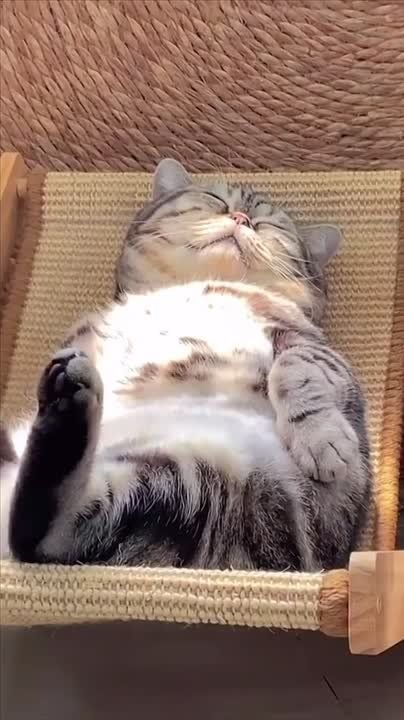 ������ ����, ������! ��������, ���� �������� �������� ��� ��