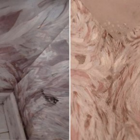 В Гродно жители три года противостоят плесени в квартире, коммунальщики рекомендуют проветривание