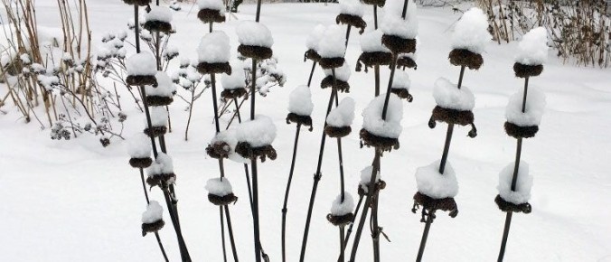 ���������� ���� � �����������: ������ �� �������