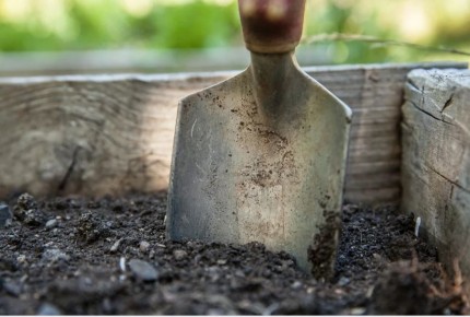 ��� ����������� ����� ��� �������: ������� ��������� ������