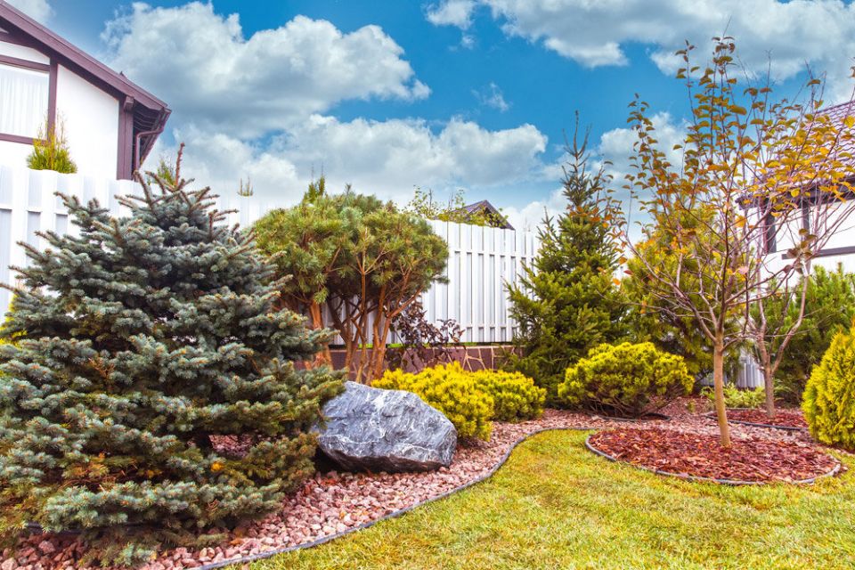 ��� � �������� ���������� ���������� ����������� ������