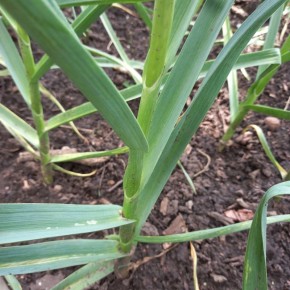 ��� ��������� ���������� ������ ����� ������ ������