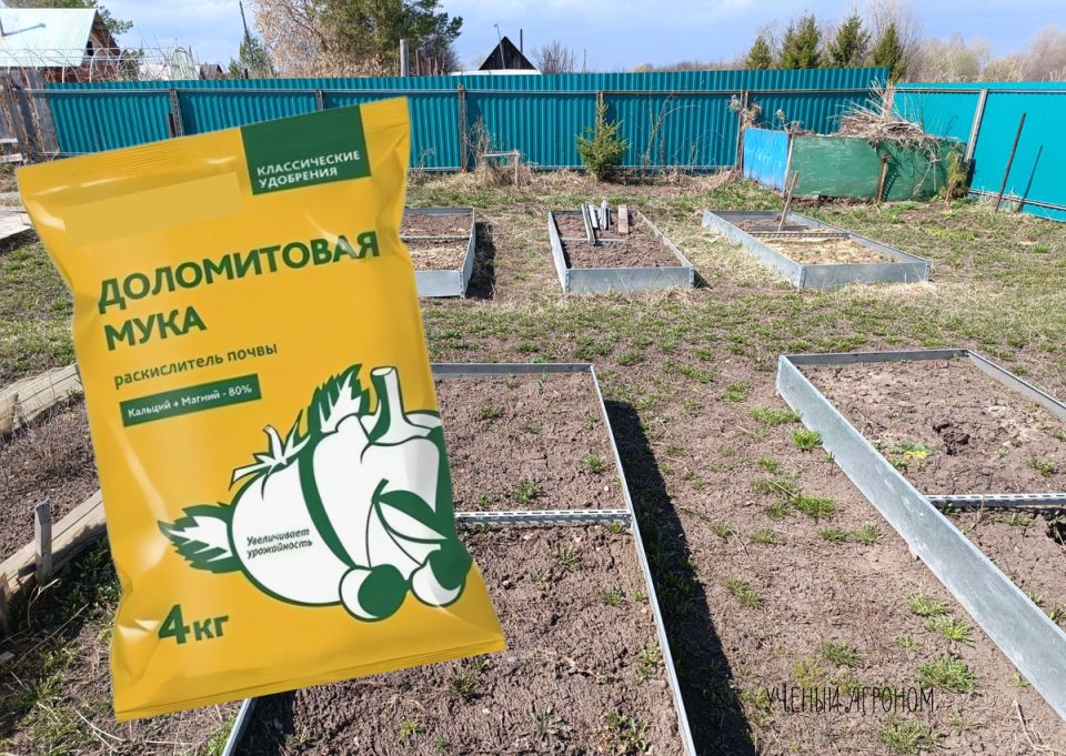 ��� ������������ ����������� ���� ���������: ����� ����� � �������������