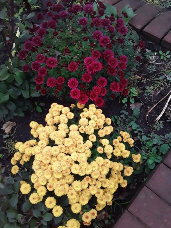 ���������� �����������: ��� ������� ������ ����� ��� ������������