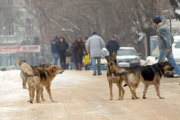 ��� ������, ���� ��� ������� �������� ������: ������ ������