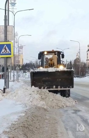 ���� �� ������ � ������ ����� � ������ ������������ �� 24 �������: