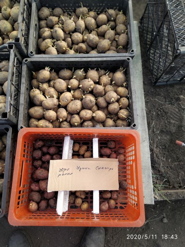 �������� �� ����-�������: ��� ������ � ������������ � ����� ������