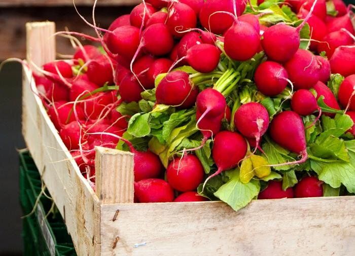 ������������ ������ ����� '����' ����� ��������: ������ � ���� ��� �����