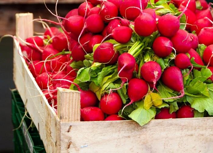 Популярность редиса сорта 'Жара' среди дачников: урожай и уход без забот