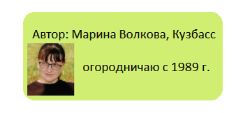 Апрельские заботы на огороде: как не отстать в уходе за растениями