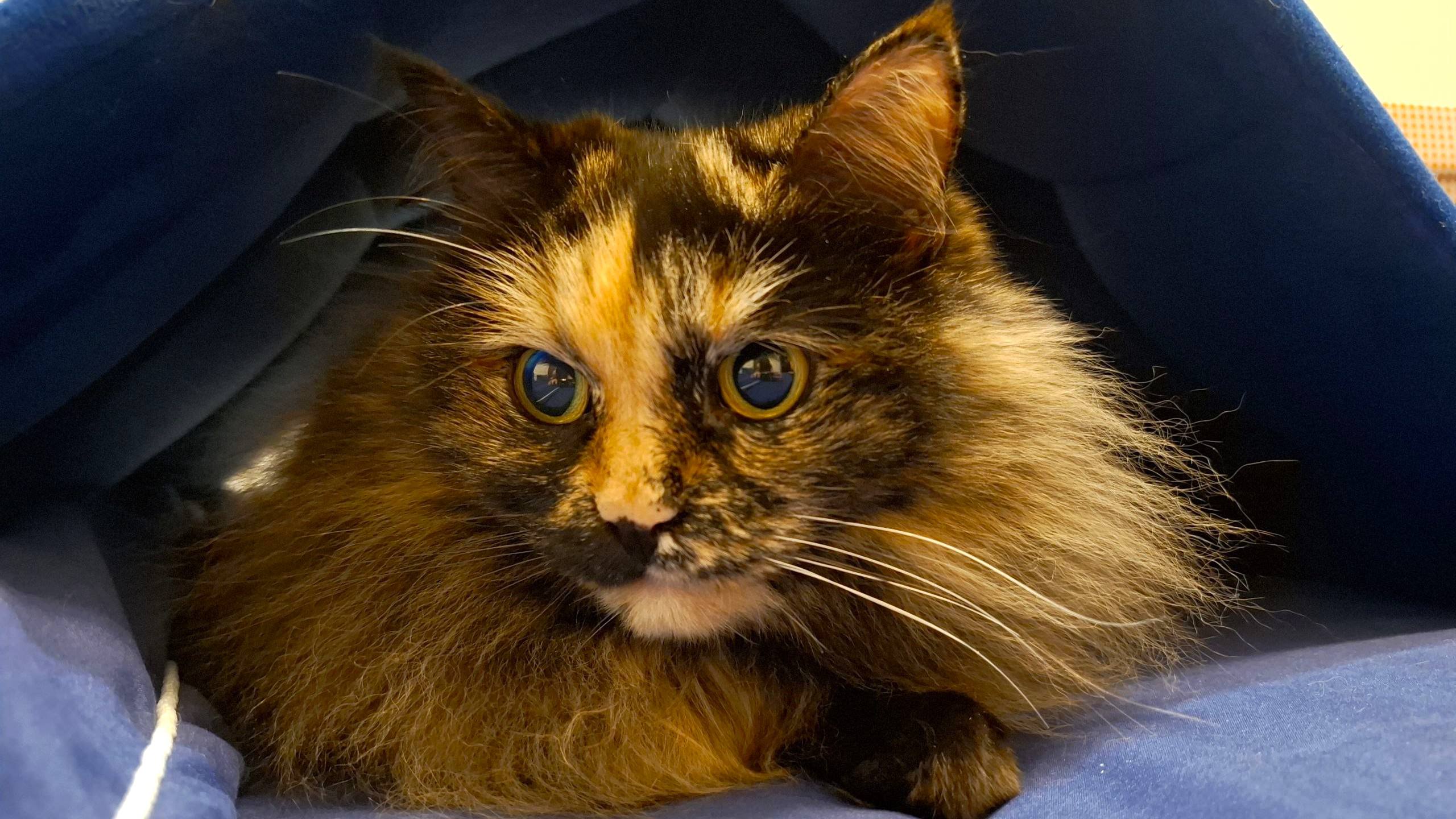 Новости к этому часу:. Стали известны даты ЕГЭ-2026 в Югре: экзамены сдадут более 10 тысяч выпускников В Ханты-Мансийском автономном округе утвердили расписание и ключевые параметры единого государственного экзамена (ЕГЭ) в... Новости к этому часу:. Стали известны даты ЕГЭ-2026 в Югре: экзамены сдадут более 10 тысяч выпускников В Ханты-Мансийском автономном округе утвердили расписание и ключевые параметры единого государственного экзамена (ЕГЭ) в...