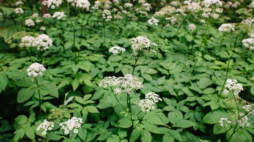 ��� ����� ������������ �� ����� � ���������� �������� � ����