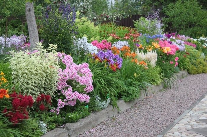 ������ �����: ����� ������������ ������� ��� ������� �����