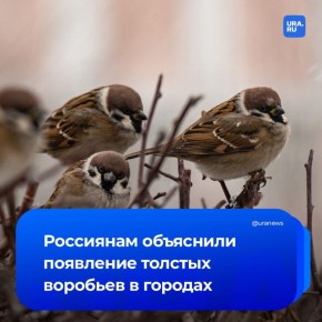 �������� ��-�� �������� ������������� � ��������