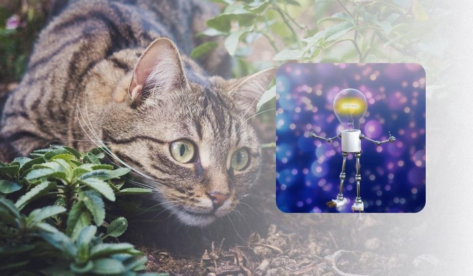 ������� ������, ��� �������� ����� �� ������ ����