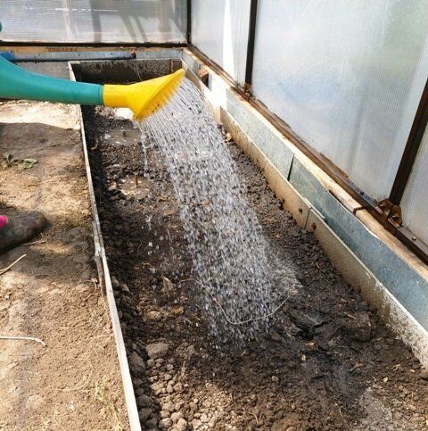 ��� ���������� ����������� ����� � ������� � ������ ������