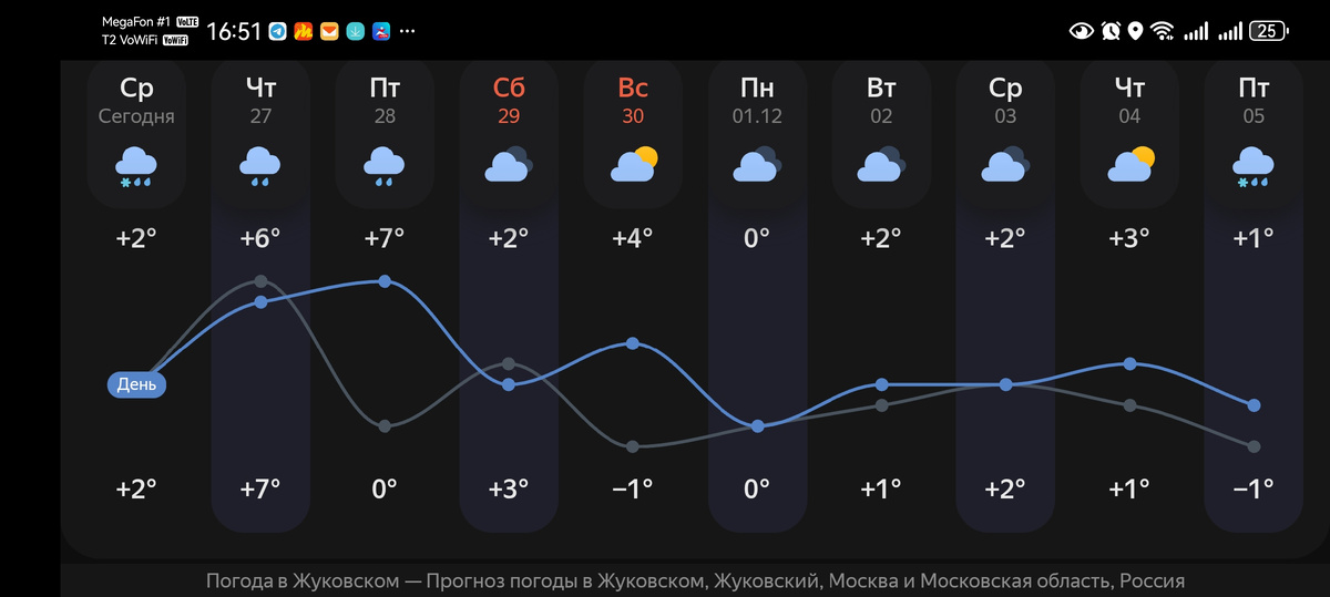 Как сохранить розы в теплую зиму: рекомендации для садоводов