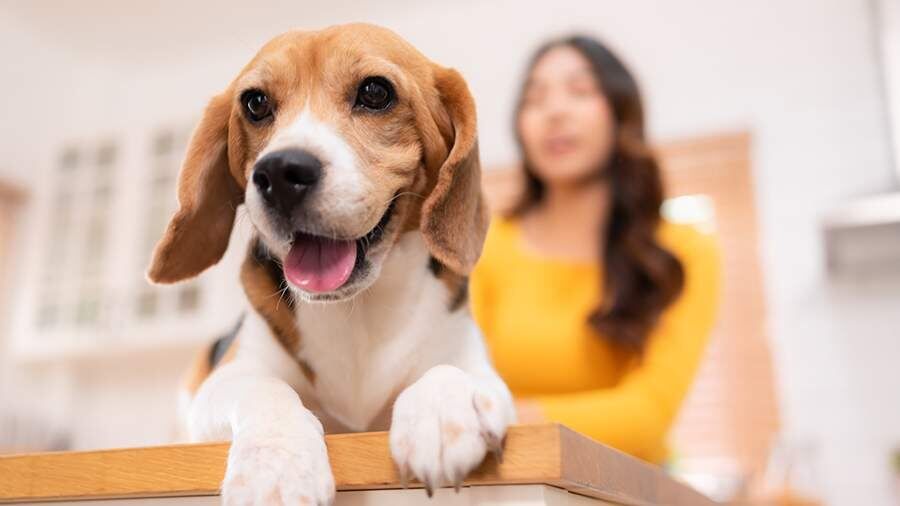 ������ � ��������� �������� ��������: ��� ���������� �����?