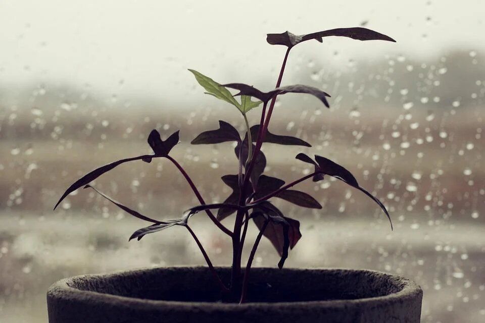 ����� ����� ���������� � ������� ������� ��������� ��������