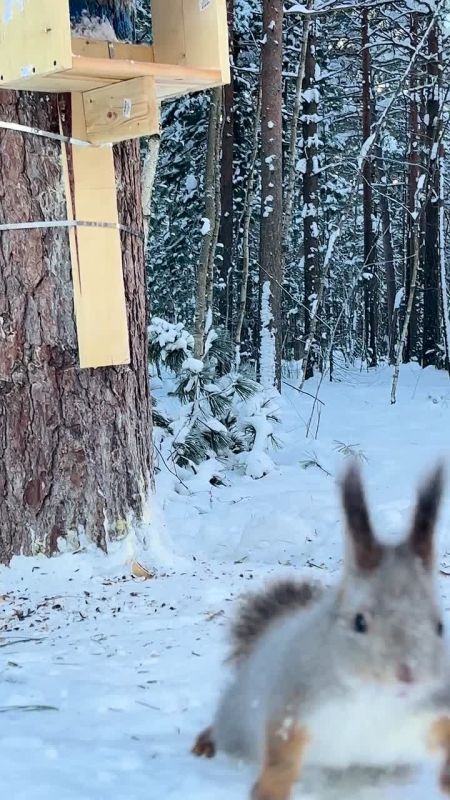 ����������� ���������� ����� ������ ����� � ��������!