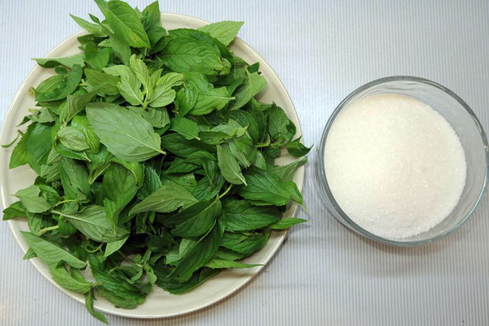 ��� ����� ����������� ��������� ������ �����