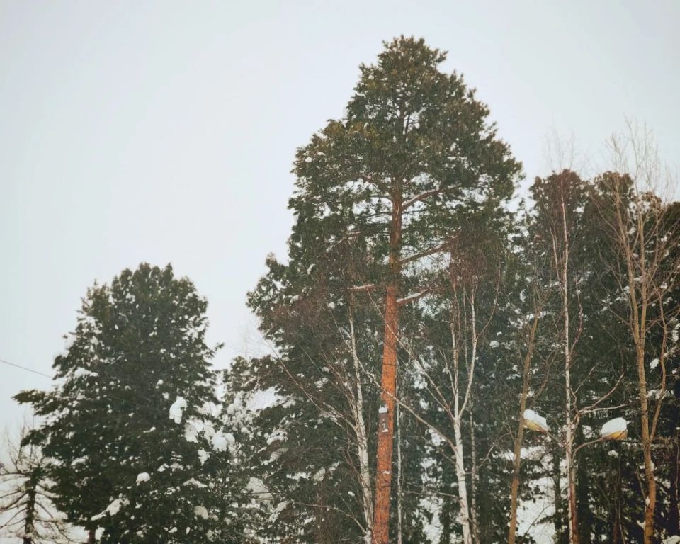 ��������� ��������� �������� ������