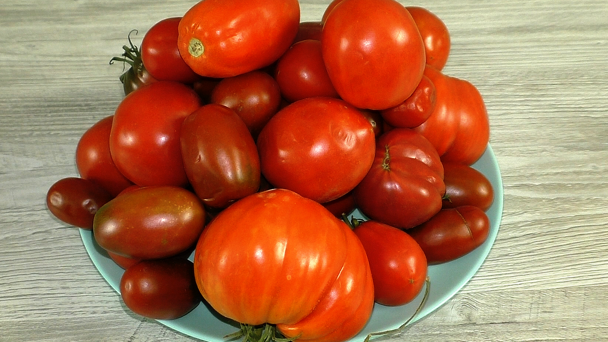 Зимние заготовки: Как быстро заморозить помидоры