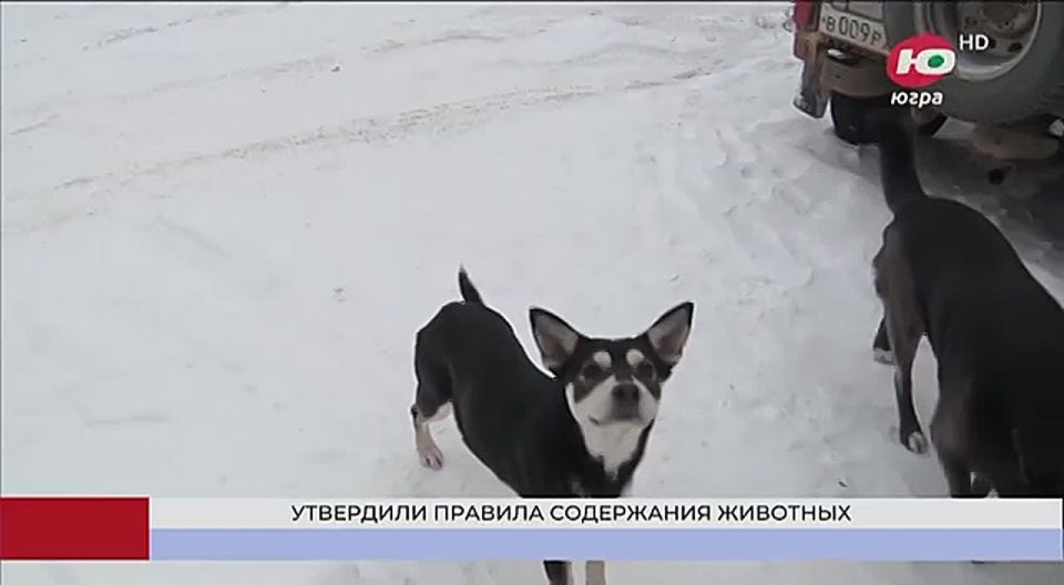 ������ �� ������� � � ����������