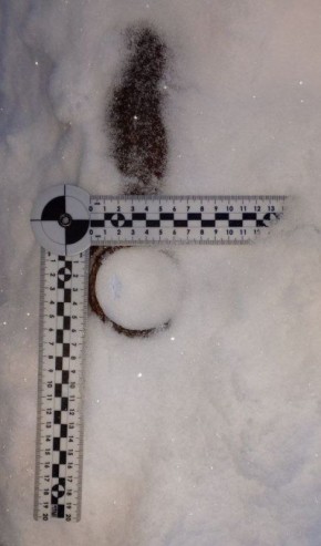 � ���� ����������� ��������� ���������� �� ���������� � ����� ���������� � ������� �������