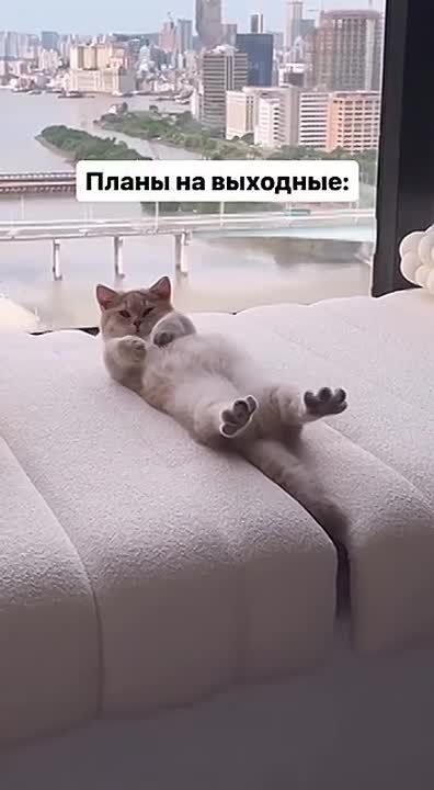 ��������� �������� ������. ������ ���� �������� ��������! ����� �� �������� ������ ���, ��� �� ������