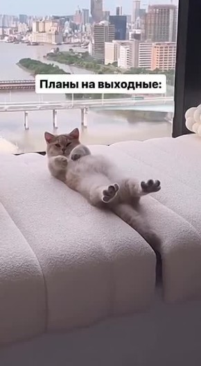 Идеальные выходные админа. Желаем всем отличных выходных! Пусть всё сложится именно так, как вы хотите