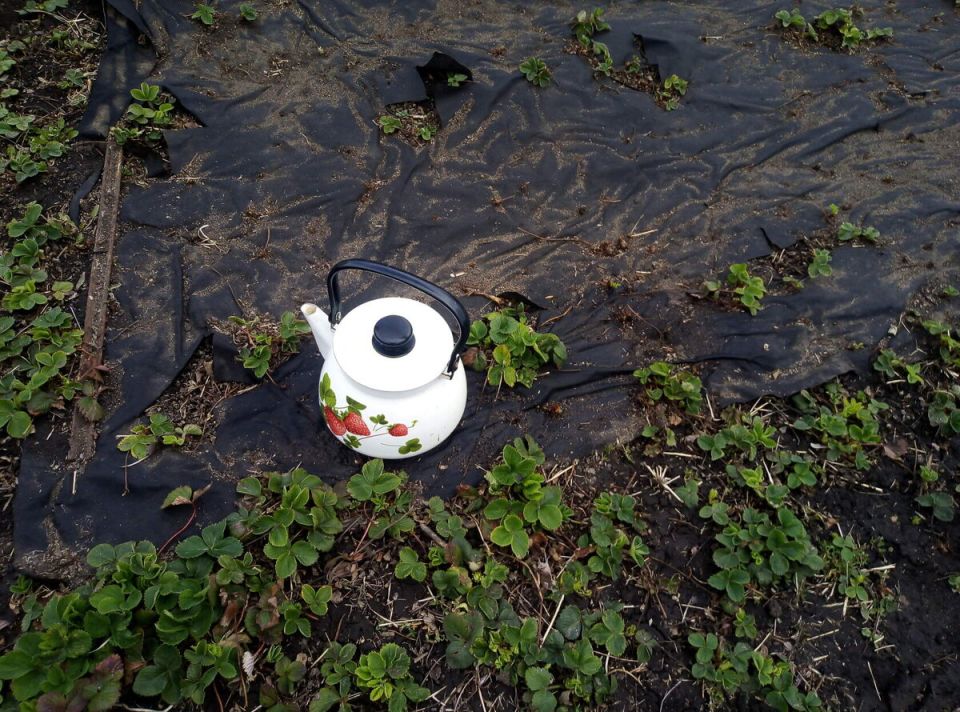 ����� �� ����: ��� �������� � ����������� �������� � �������������� ������