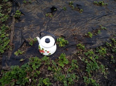 ����� �� ����: ��� �������� � ����������� �������� � �������������� ������