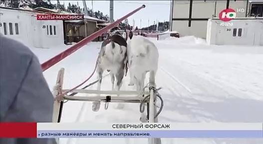 ��������� ������: � ���� ����� ������������ � ������?