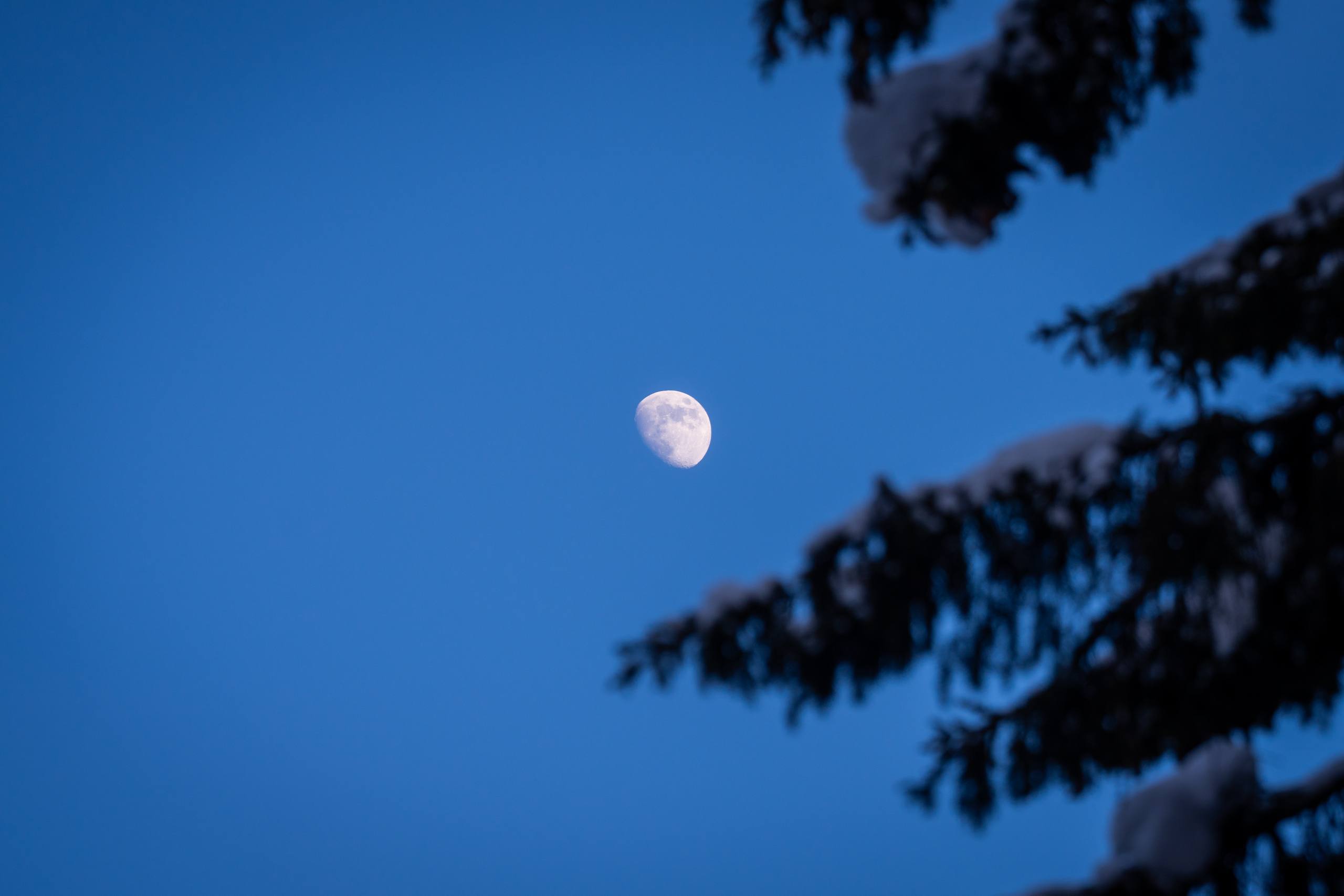 Как в «Торум Маа» Луну угощали Как в «Торум Маа» Луну угощали