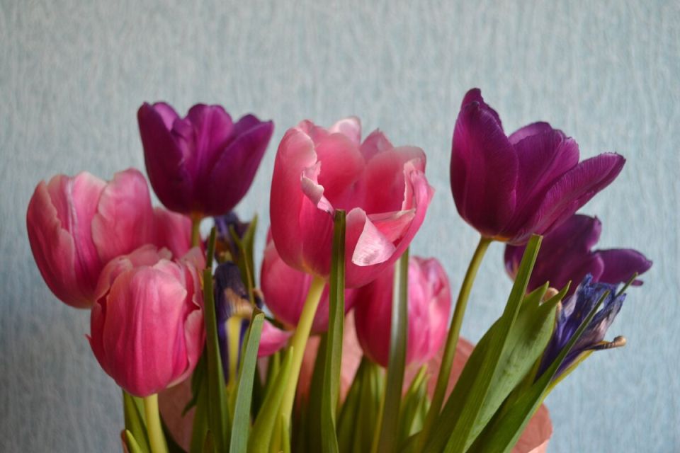 ��� ��������� �������� �� ������ � ��������� ����� �����