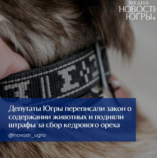 �������� ���� ���������� ����� � ���������� �������� � ������� ������ �� ���� ��������� �����