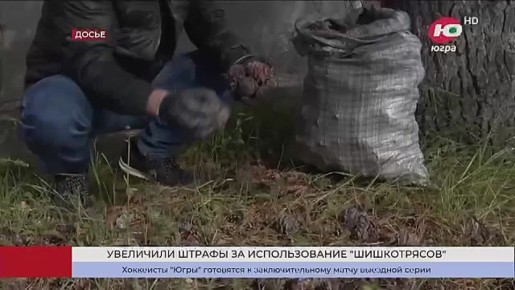 � ���� ��������� ������ �� ����������� �������� ��� ����� �������� �����