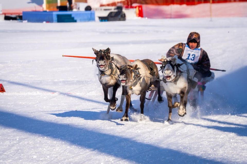 ��������� ���� ������� � ������� ���������������� ��������