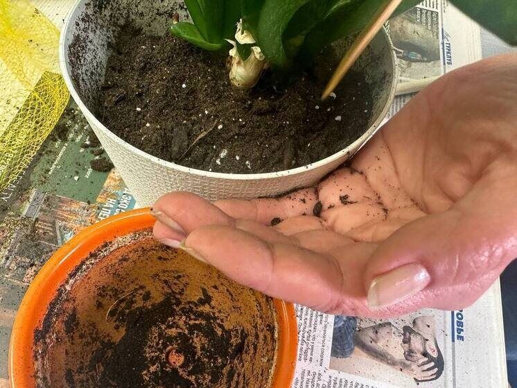 ����������� ��� ����� ����� ����� ��������: ���� � �������� � ������������