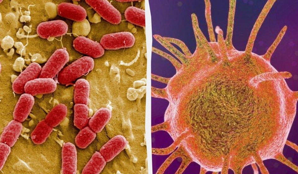 ��������� �������: �������� ��� � �������� �����������