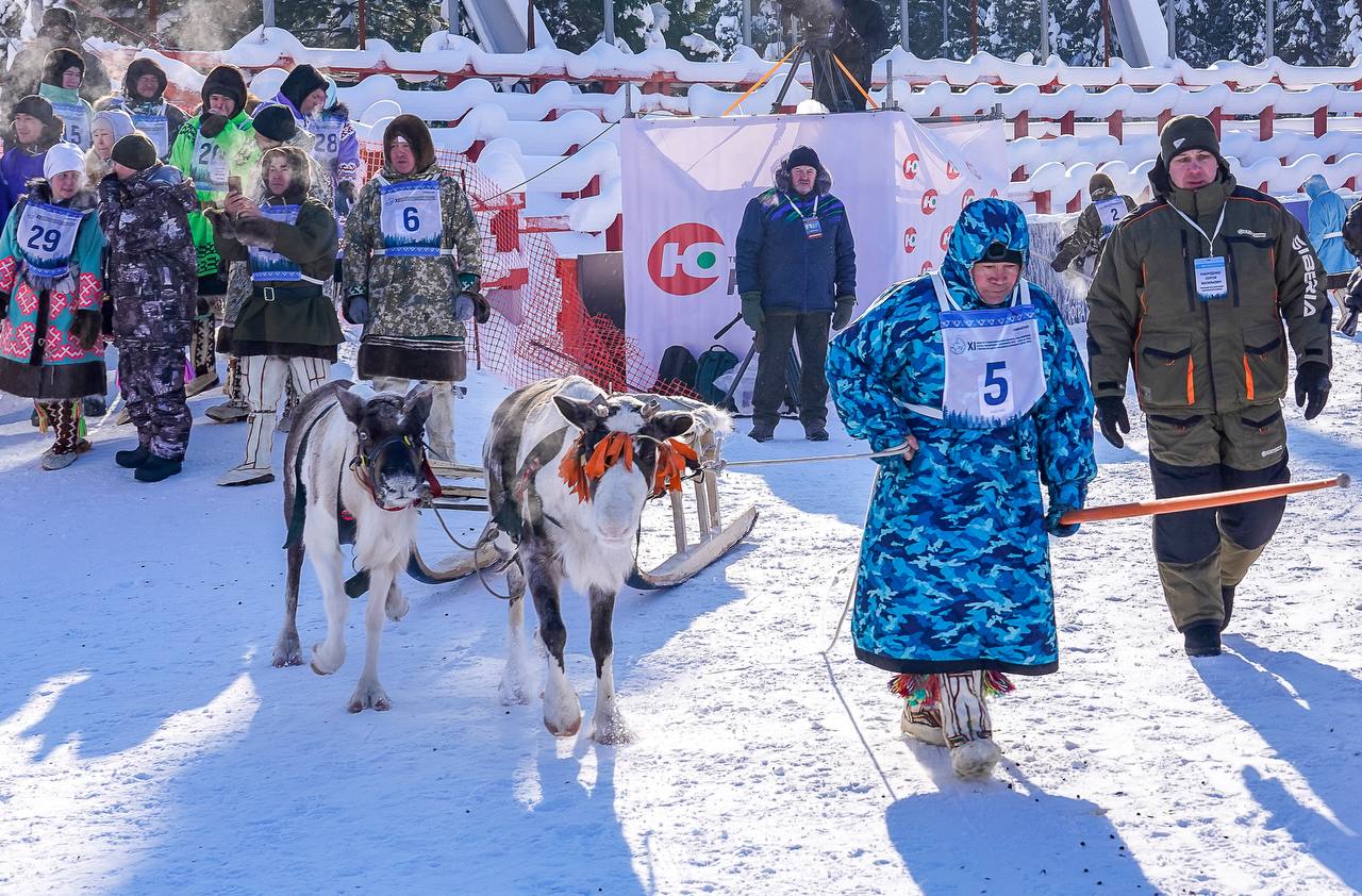 Больше ярких фотографий с гонок на оленьих упряжках в нашем фотоальбоме! Больше ярких фотографий с гонок на оленьих упряжках в нашем фотоальбоме!