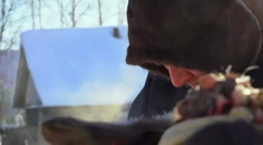 ������! ����� ���������� XI ��������� �������� ����������������� ���������� ����� ���������� �� ����� ����������� ���� ����� � �������� �� ���� ����� ���� �����